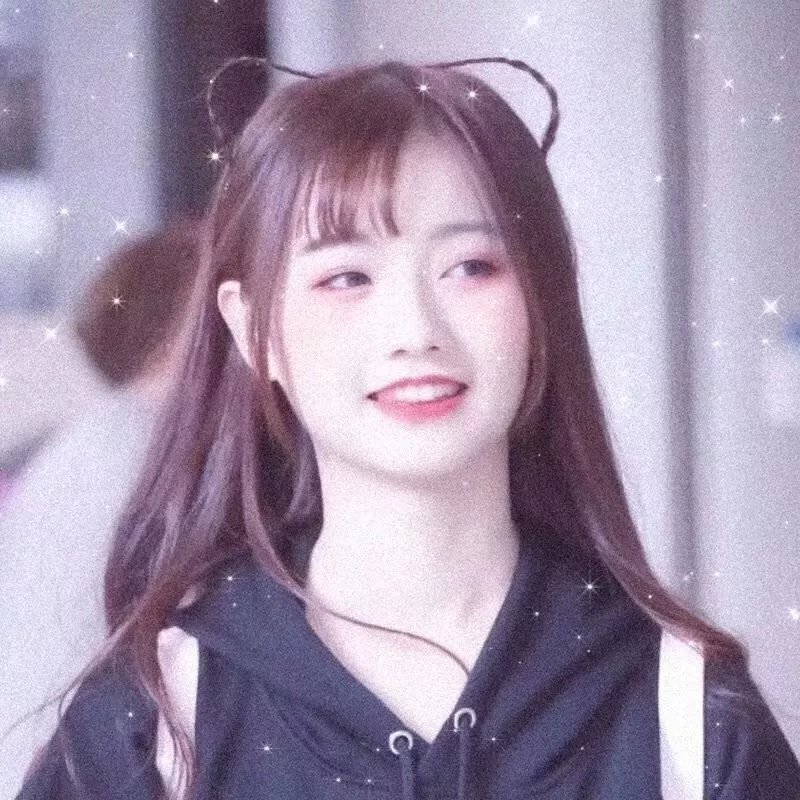 巨齿鲨