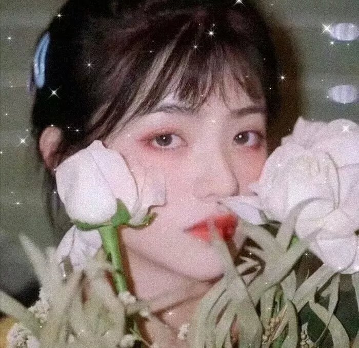 旧案寻凶